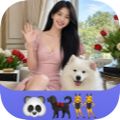 App logo